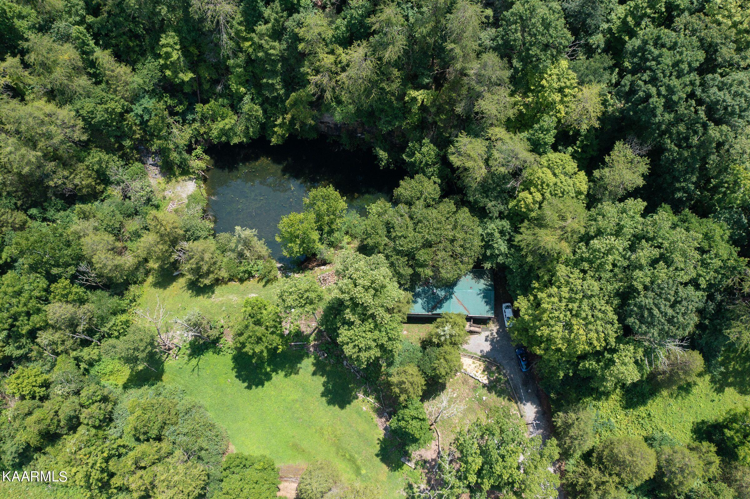 2876 Dutch Valley Road Clinton, TN 37716 - Photo 3 of 19 dutcharieal2