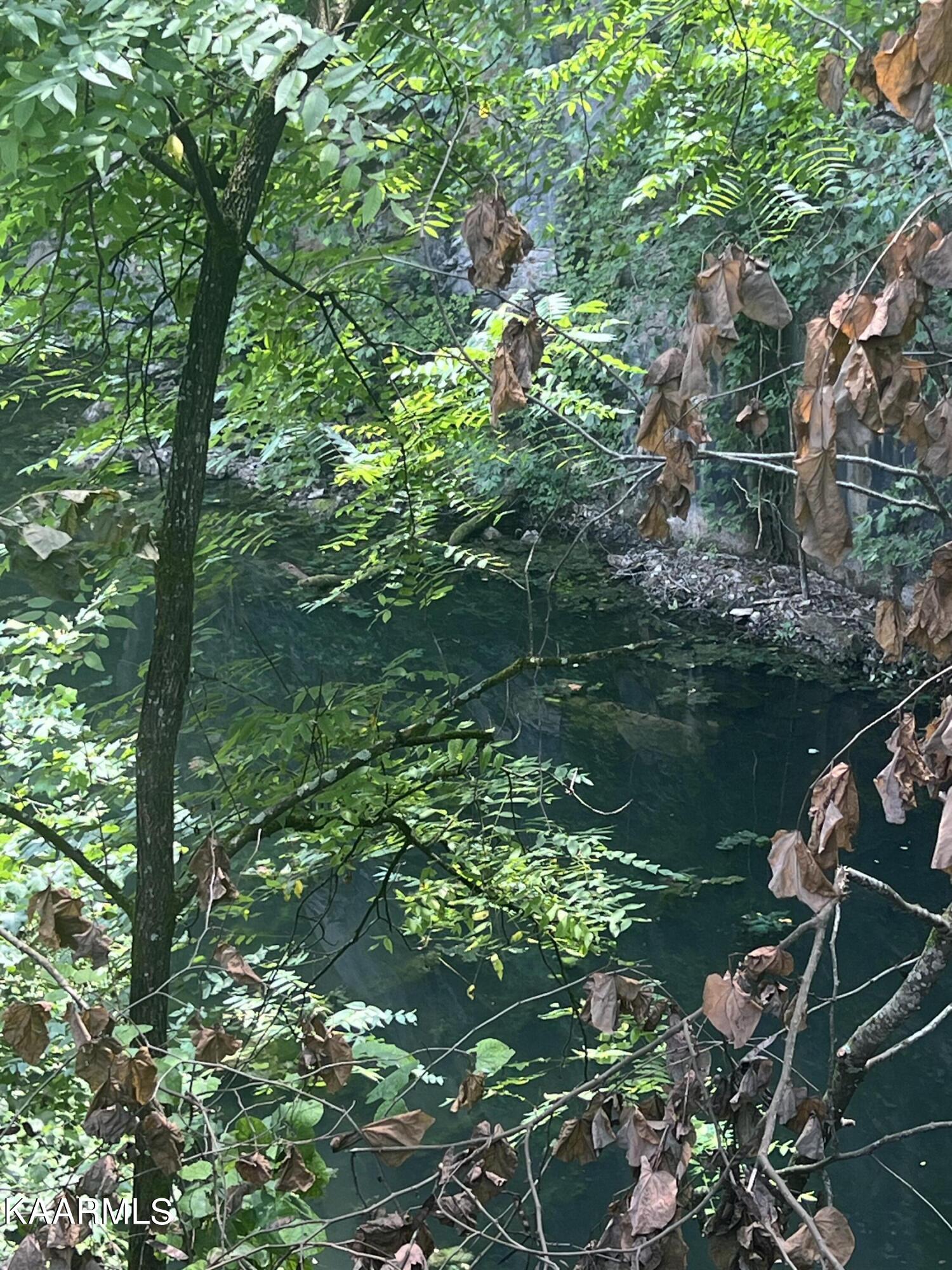 2876 Dutch Valley Road Clinton, TN 37716 - Photo 5 of 19 B1FBE62A-EB0E-4D28-B338-D658732C8214