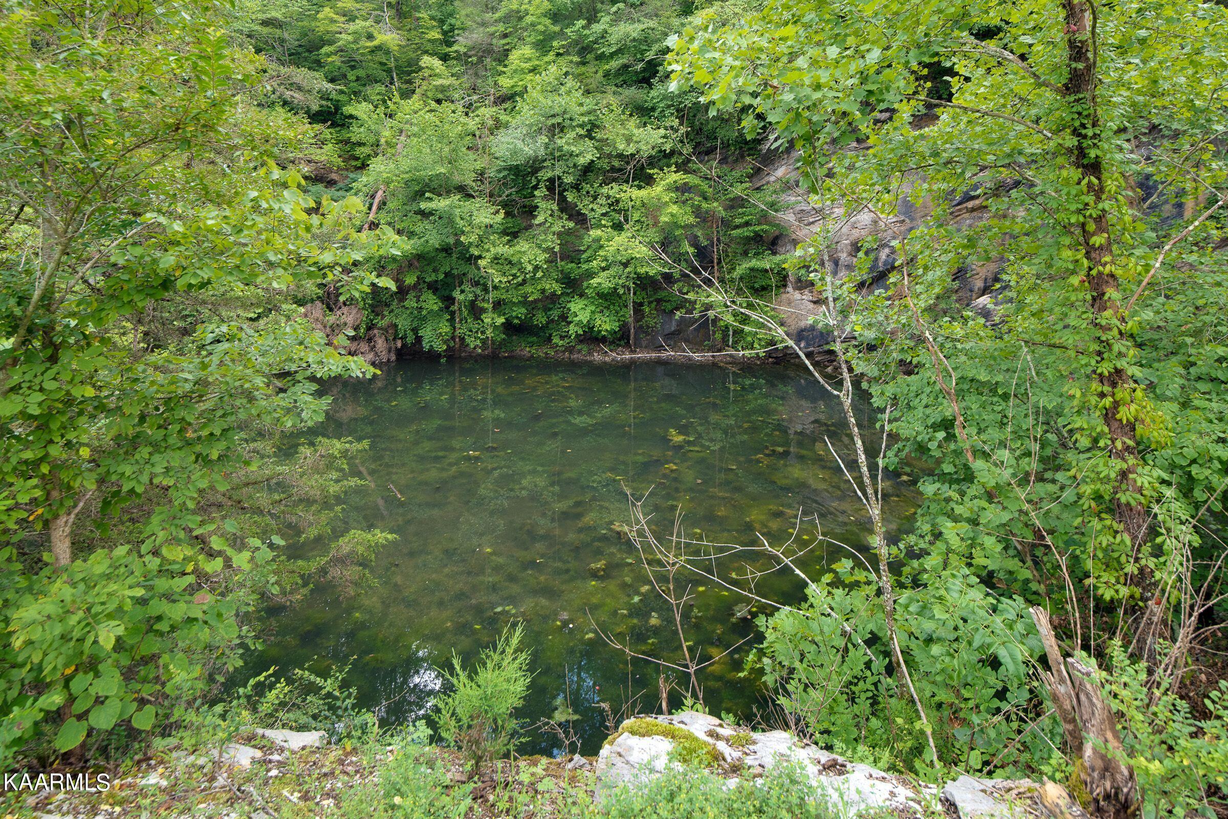 2876 Dutch Valley Road Clinton, TN 37716 - Photo 7 of 19 dutchquary