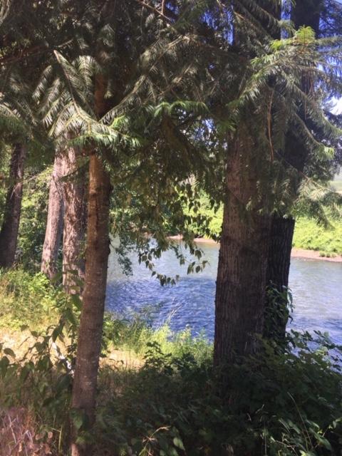2500 Lampman Road Gold Hill, OR 97525 - Photo 1 of 5 IMG_0007