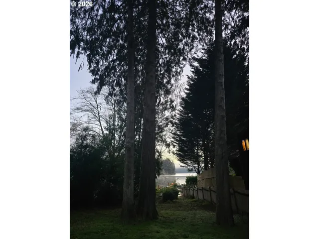 a view of a yard in front of a tree