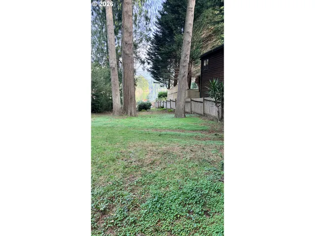 a view of a yard in front of a house