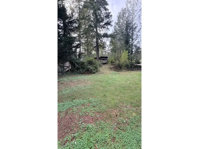 a view of a yard with plants and a trees