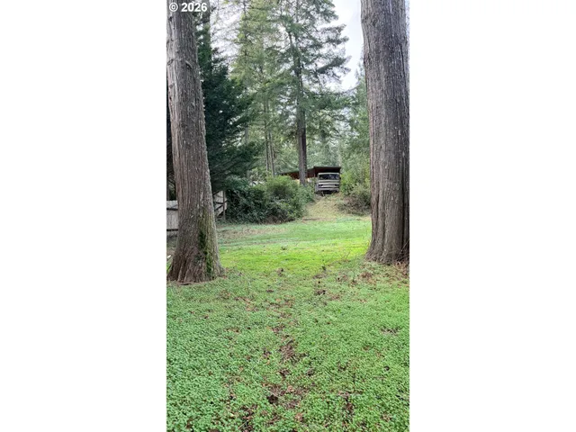 a view of yard from a window