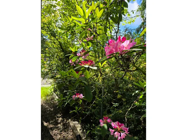 a flower garden view