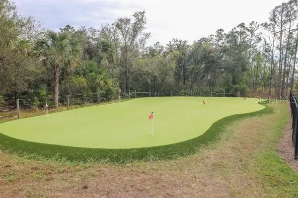 a view of a swimming pool and trees in the background