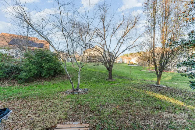 a view of a tree in the middle of a yard