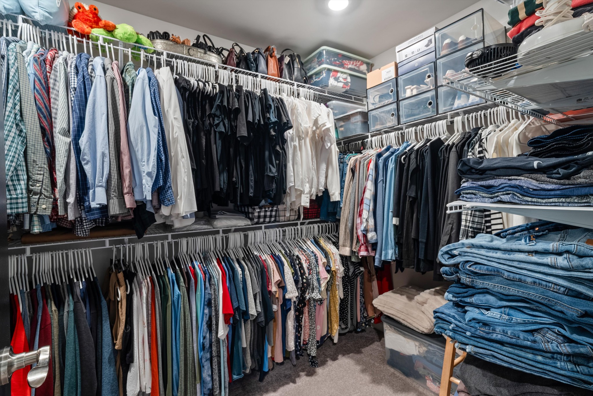 562 Torrey Pines Lane Lebanon, TN 37087 - Photo 21 of 38 a view of walk in closet with clothes and shoes