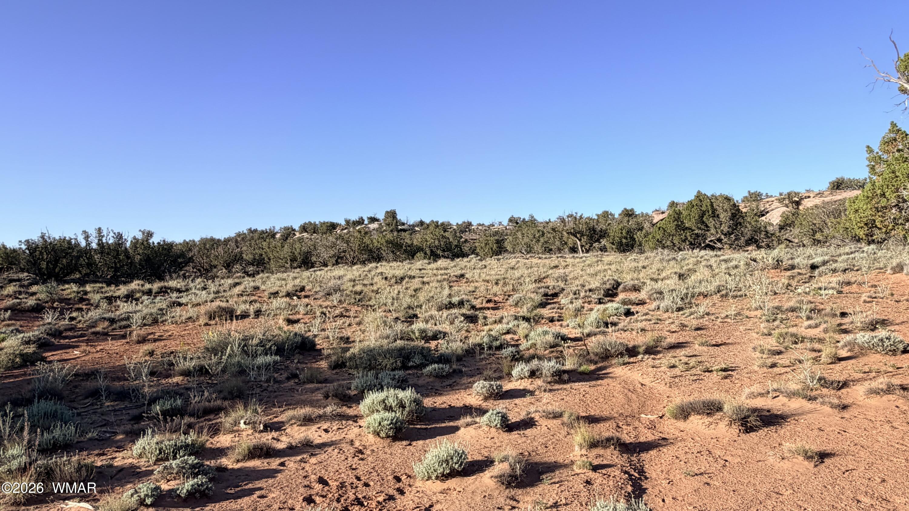 3791 Anasazi Road Snowflake, AZ 85937 - Photo 3 of 19 a view of a dry yard with trees