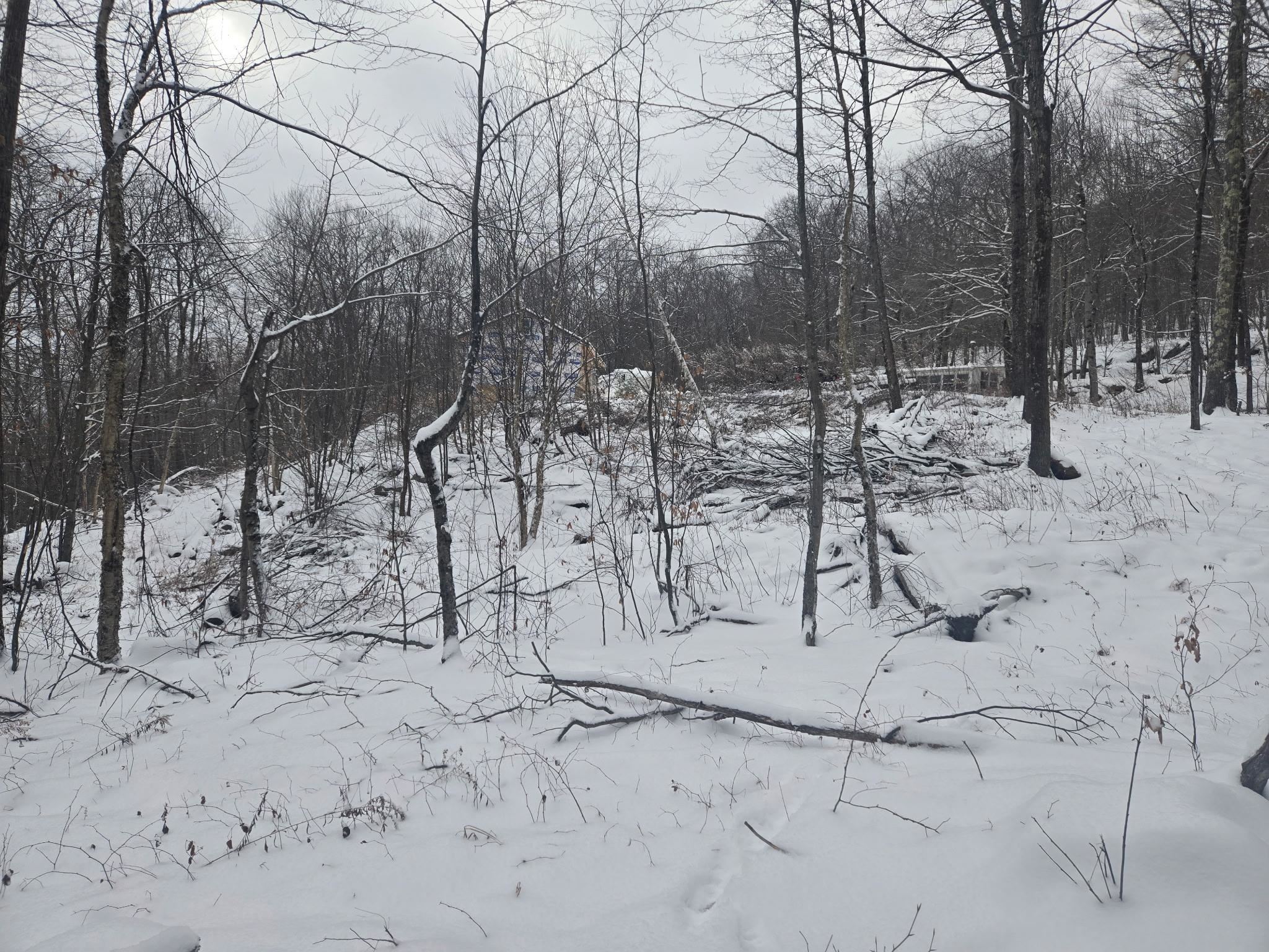 1046 Kings Highway Stoddard, NH 03464 - Photo 16 of 19