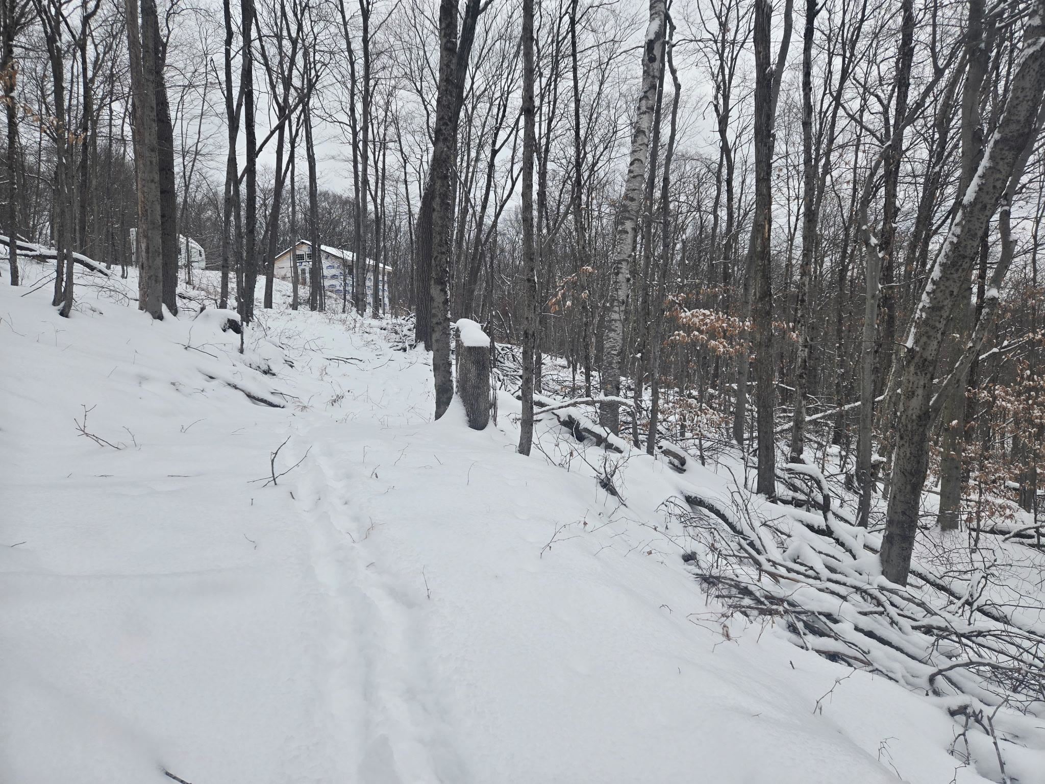 1046 Kings Highway Stoddard, NH 03464 - Photo 17 of 19