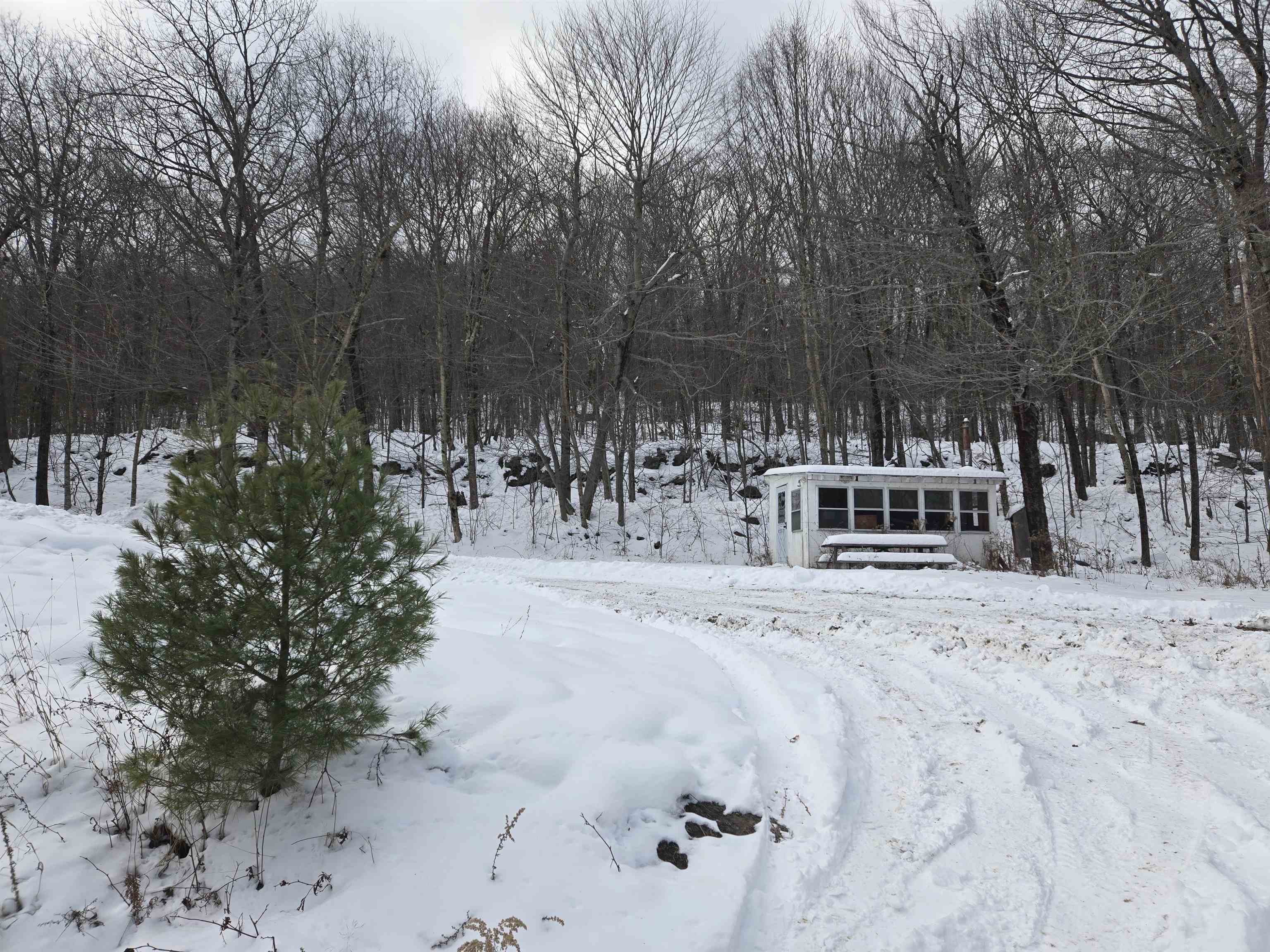 1046 Kings Highway Stoddard, NH 03464 - Photo 4 of 19