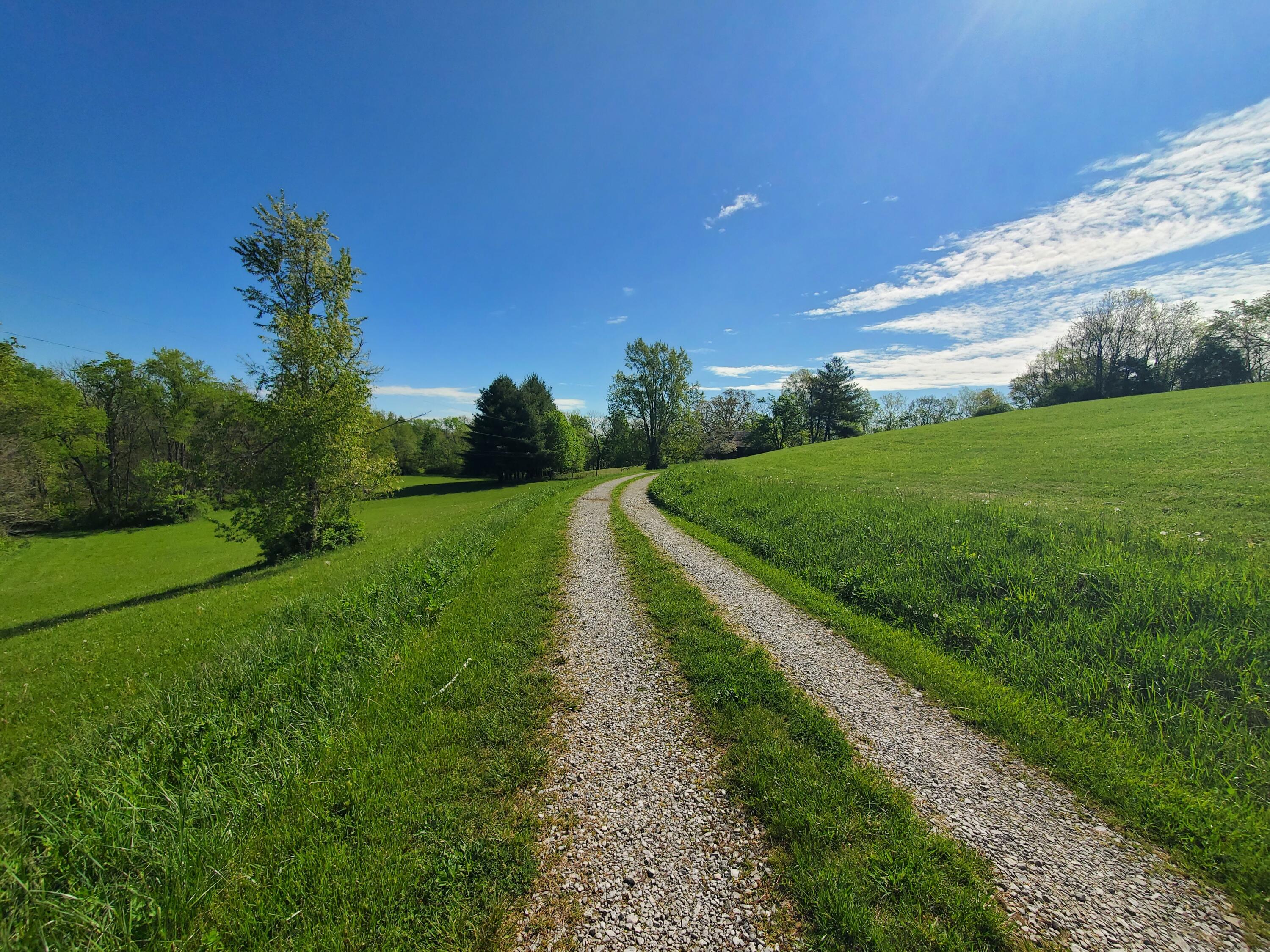 1010 Galloway Road Georgetown, KY 40324 - Photo 51 of 63 20250428_102648
