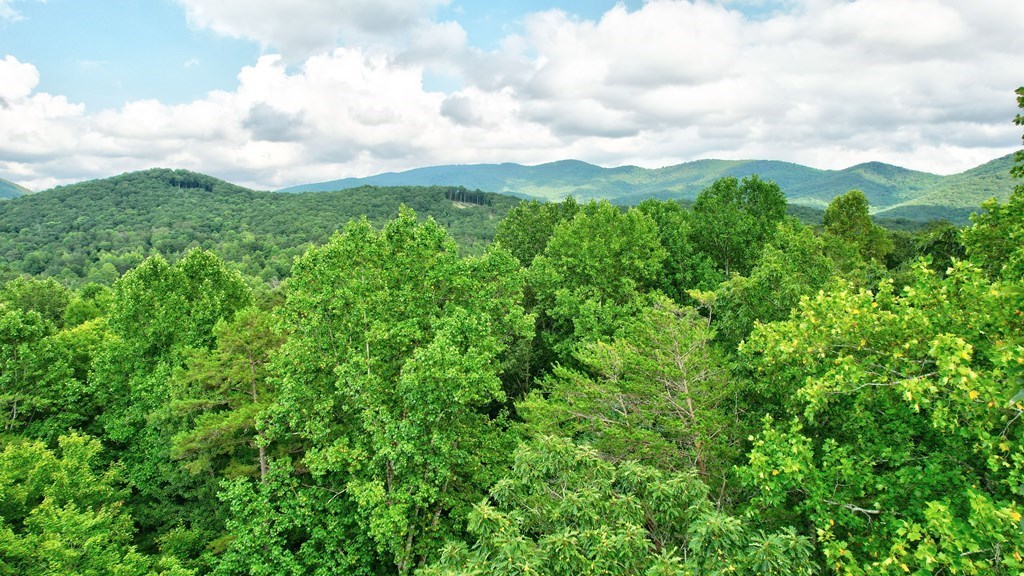 17.67-ac Rainbow Ridge Road Ellijay, GA 30536 - Photo 12 of 42 Gallery Image 12