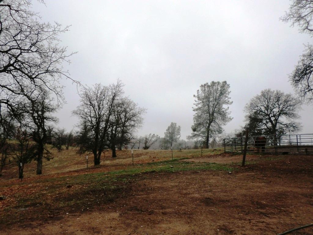 20-acres Coal Pit Road Anderson, CA 96007 - Photo 2 of 16 CIMG4739