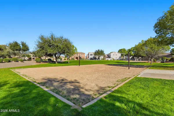 a view of a yard with a fountain and a tree