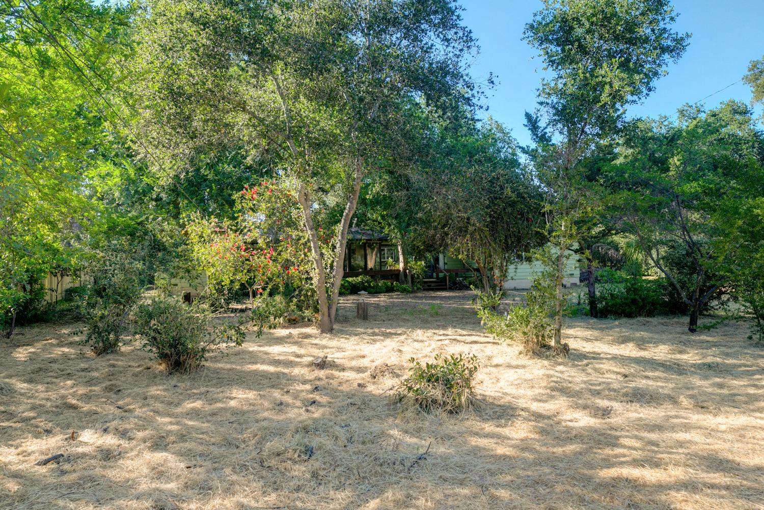 925 Cuyama Road Ojai, CA 93023 - Photo 35 of 41 Gallery Image 35