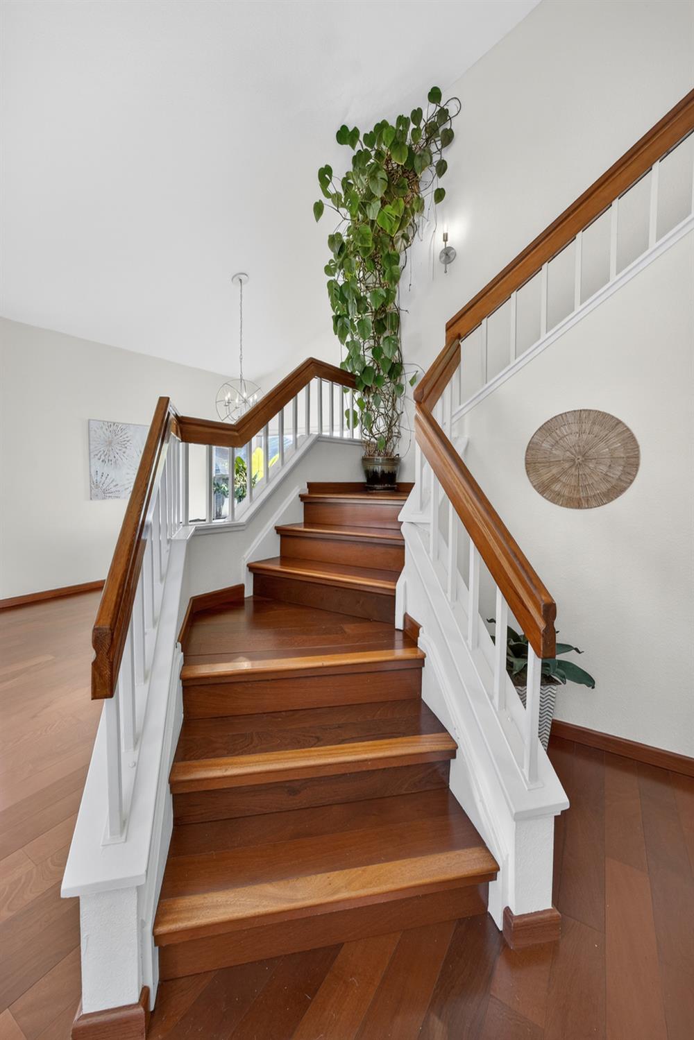 248 Carson Street Hercules, CA 94547 - Photo 29 of 70