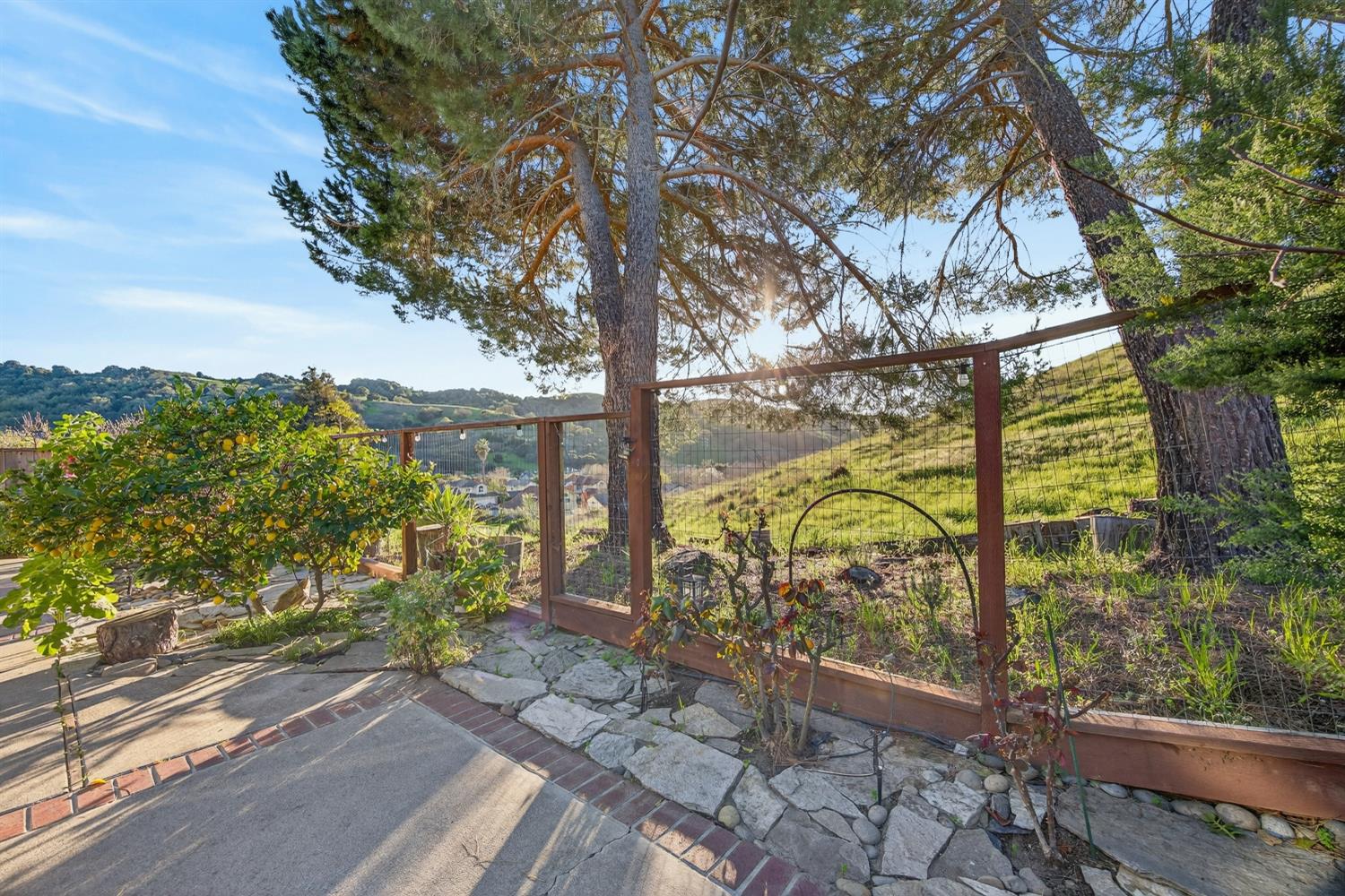 248 Carson Street Hercules, CA 94547 - Photo 48 of 70 a view of a garden with pathway