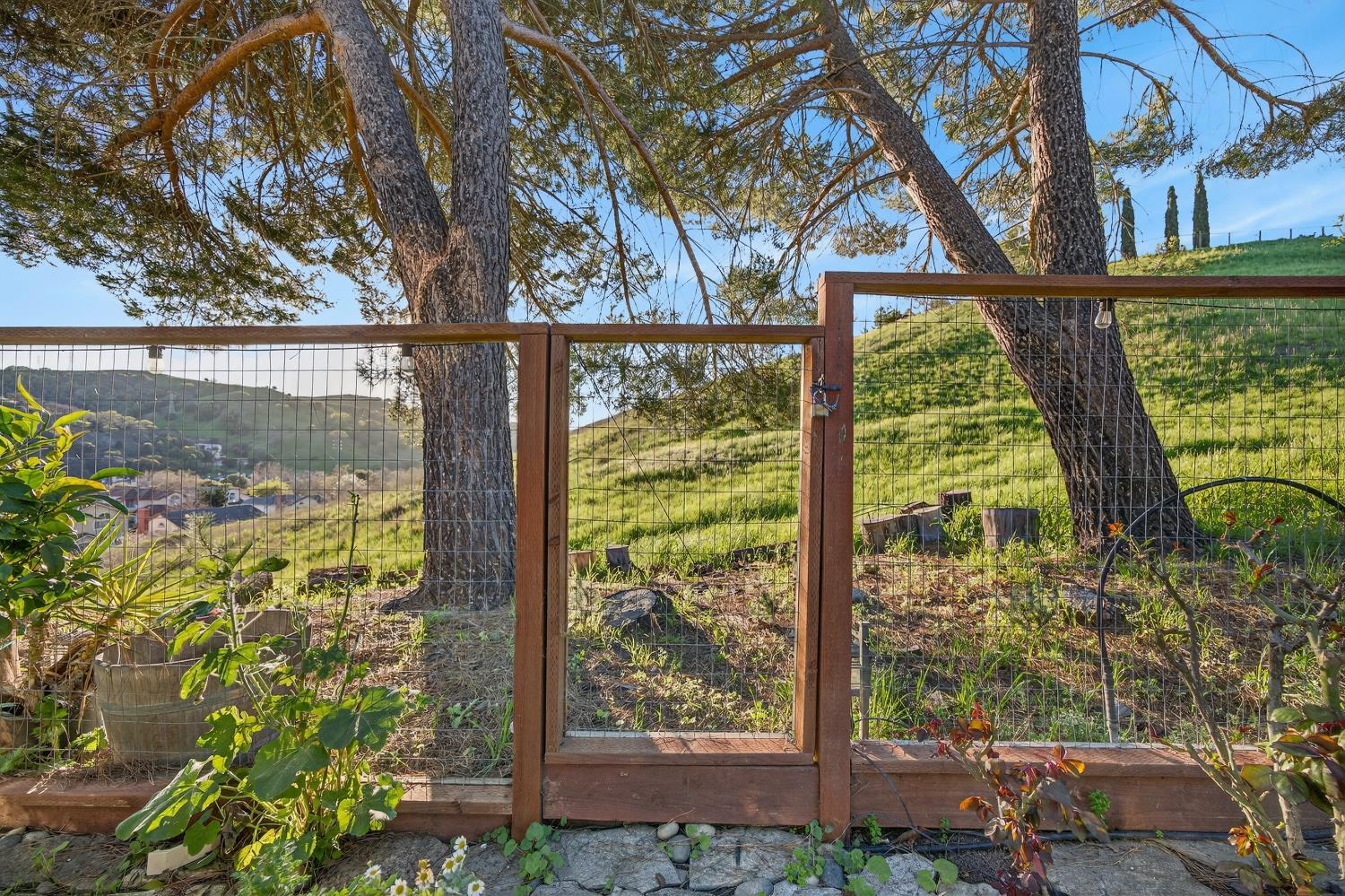 248 Carson Street Hercules, CA 94547 - Photo 49 of 70 a view of a garden from a window