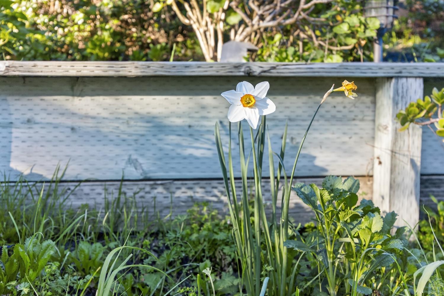 248 Carson Street Hercules, CA 94547 - Photo 52 of 70