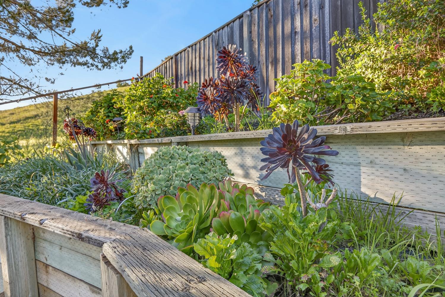 248 Carson Street Hercules, CA 94547 - Photo 53 of 70 a view of a garden from a balcony