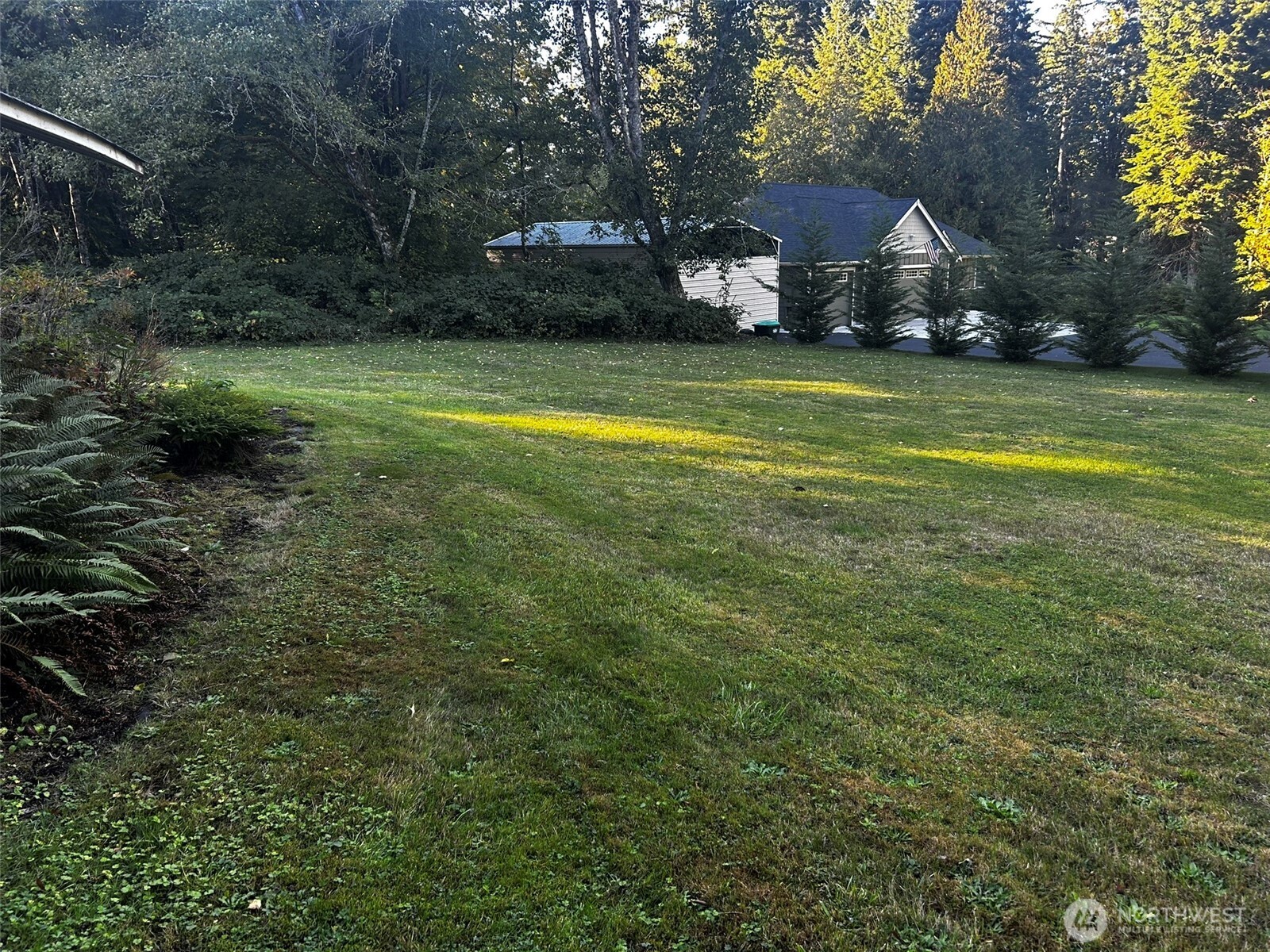 4131 Delphi Road Southwest Olympia, WA 98512 - Photo 34 of 39 a view of a swimming pool and trees in the background