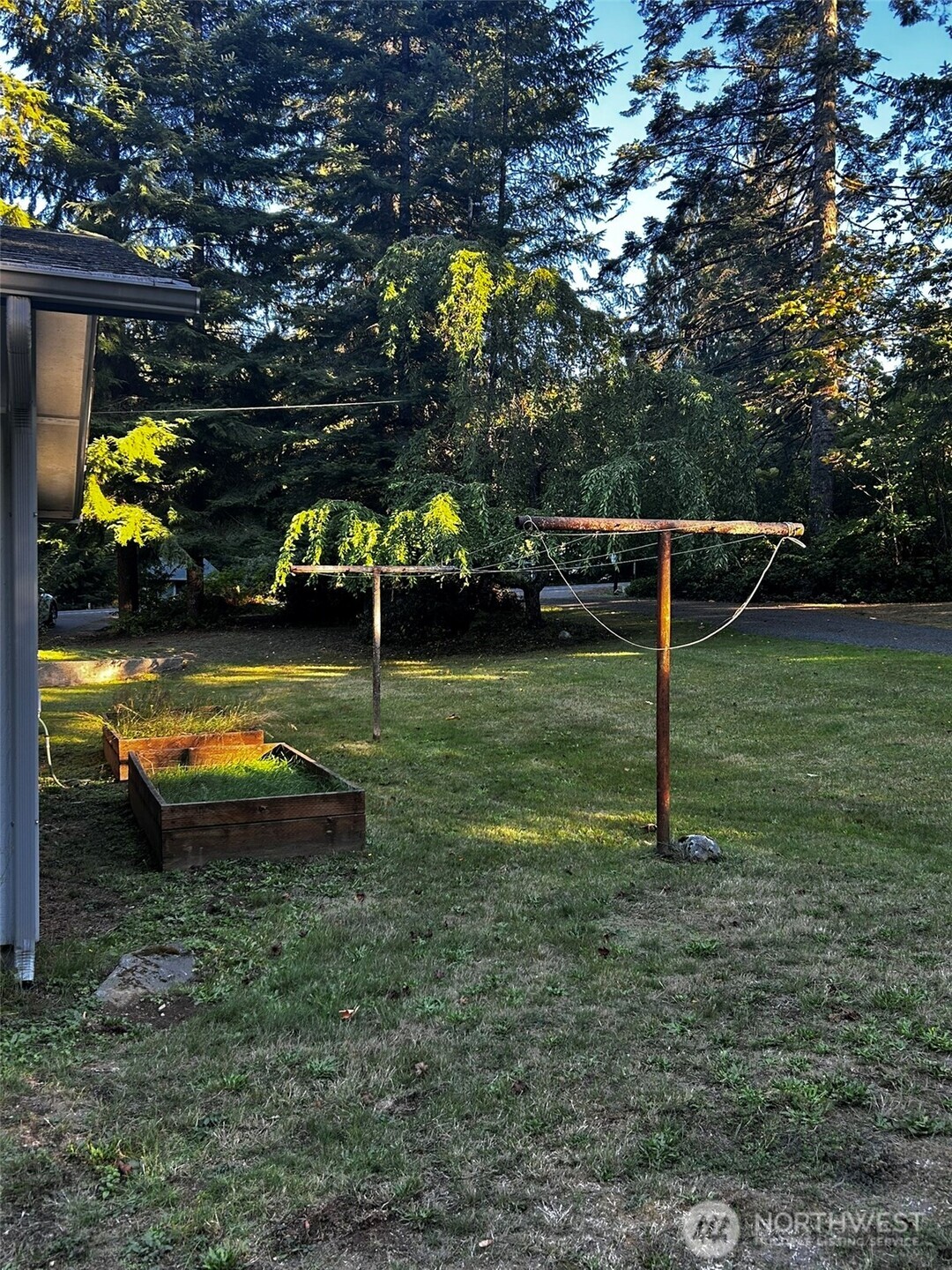 4131 Delphi Road Southwest Olympia, WA 98512 - Photo 36 of 39 a view of a golf ground with a large trees