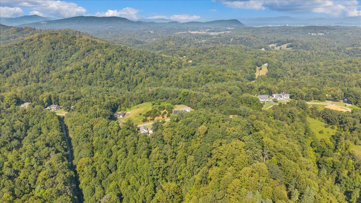Lot 26 Palmetto Bluff Road Hardy, VA 24101 - Photo 5 of 22 06-DJI_20260901113825_0026_D