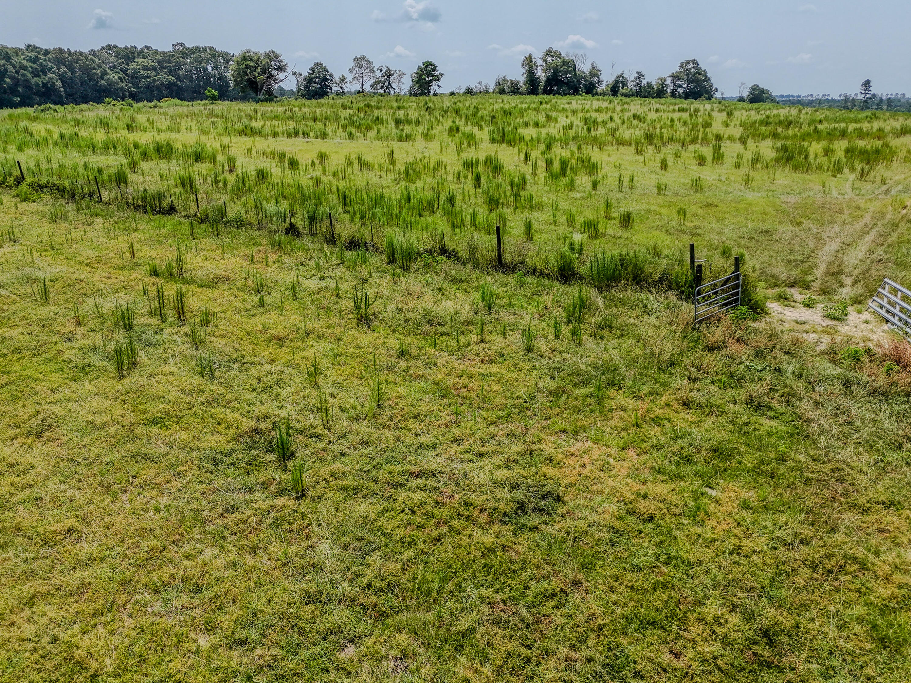 3958 Gopher Ridge Road Samson, AL 36477 - Photo 15 of 25 DJI_20260730003617_0021_D - Copy