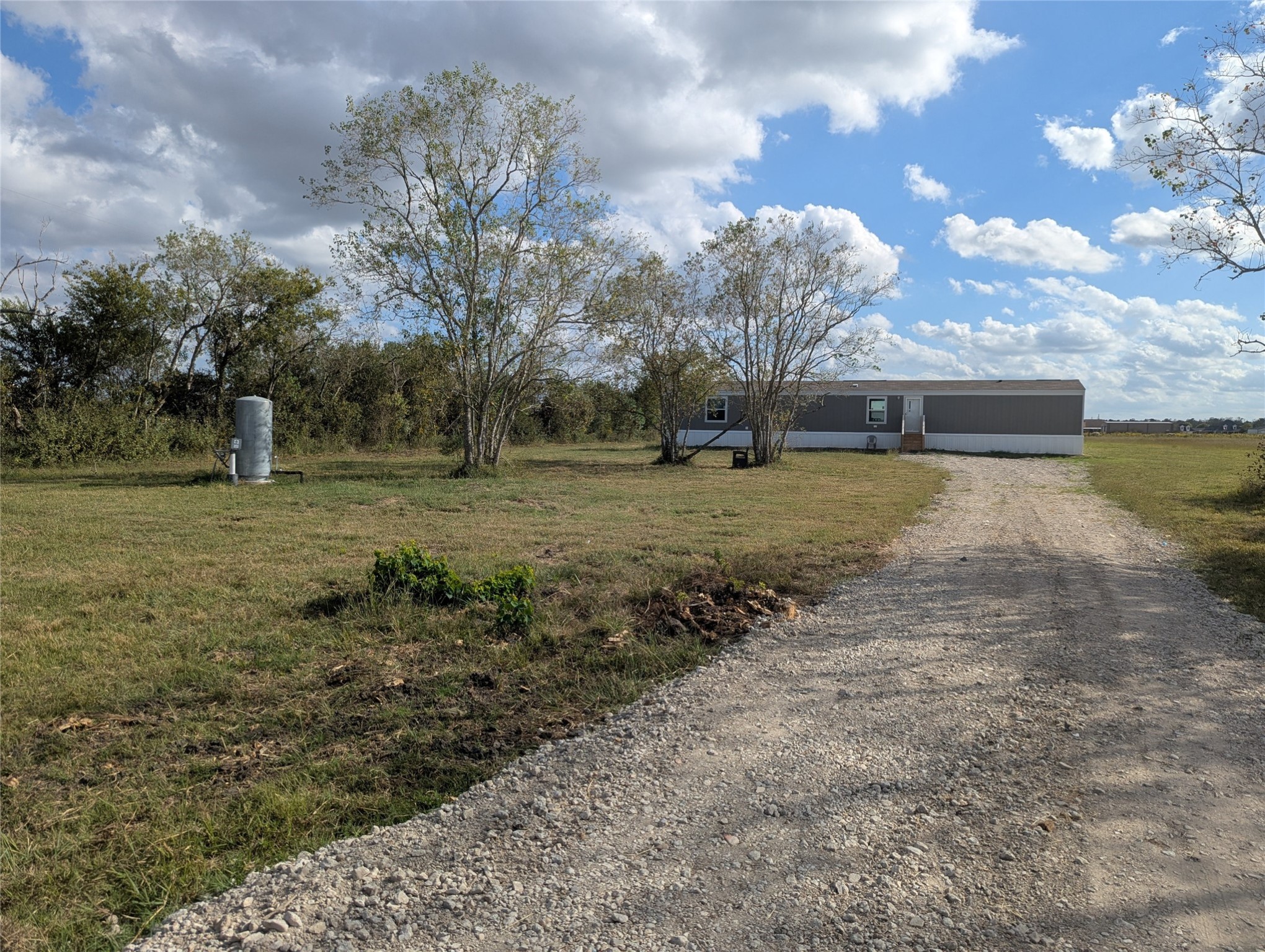a view of a dry yard with trees