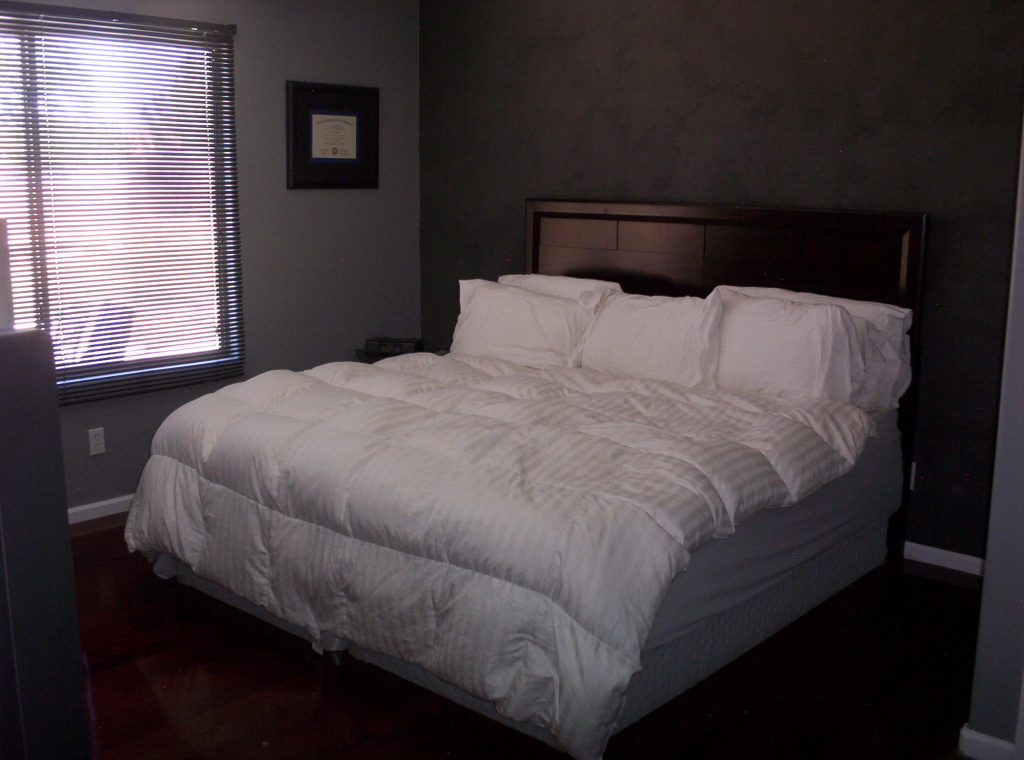 2308 West Apollo Road Phoenix, AZ 85041 - Photo 8 of 17 master bedroom