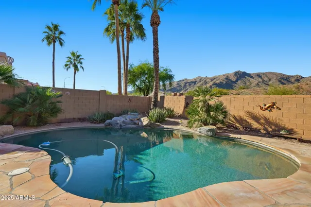 a view of a swimming pool with a yard and palm trees