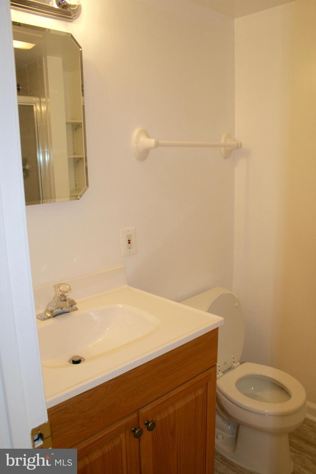 7617 Gresham Street Springfield, VA 22151 - Photo 23 of 28 Basement