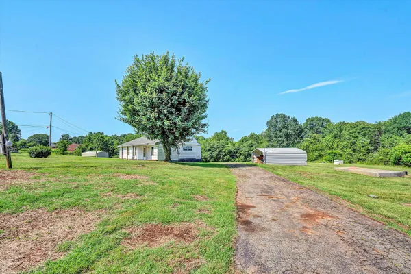 a view of a big yard with plants and large trees