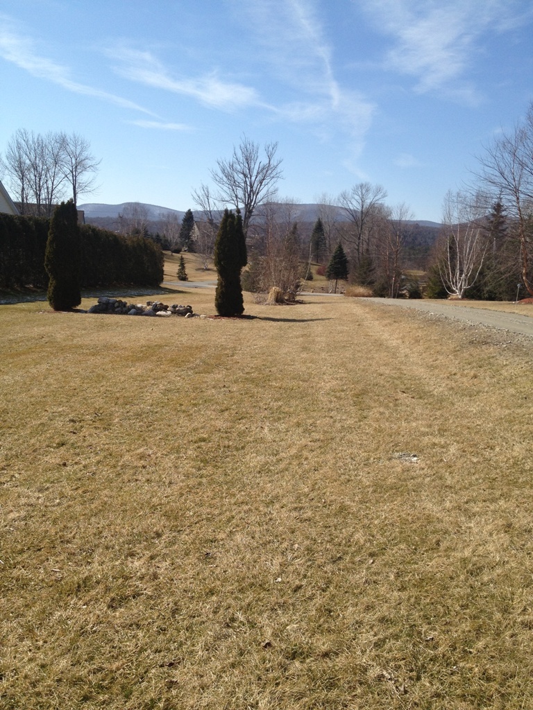 400 Stratton Road Williamstown, MA 01267 - Photo 20 of 20 Driveway and view