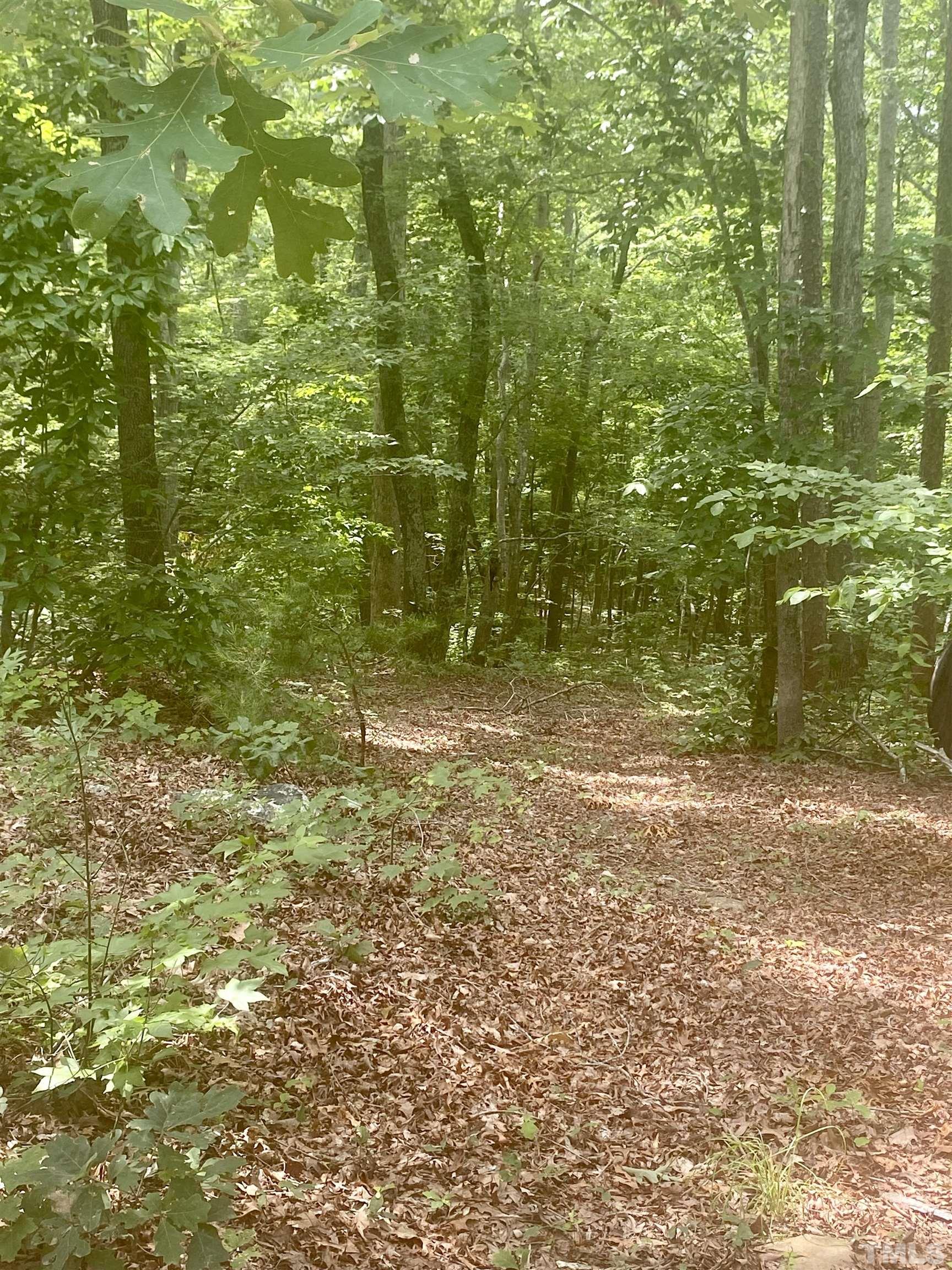 3342 High Plains Road Roxboro, NC 27574 - Photo 25 of 54