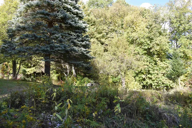 $395,000 | 194 Wood Lane, Brandon, VT 05733