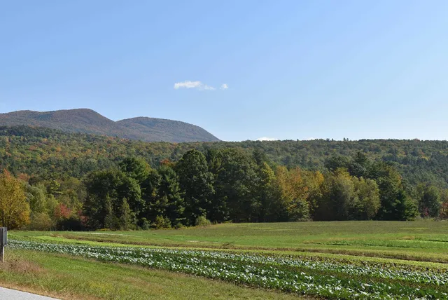 $395,000 | 194 Wood Lane, Brandon, VT 05733