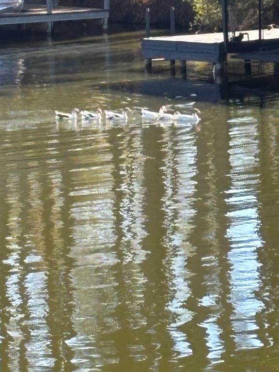 16729 Malibu Drive, Unit 30 Flint, TX 75762 - Photo 12 of 19