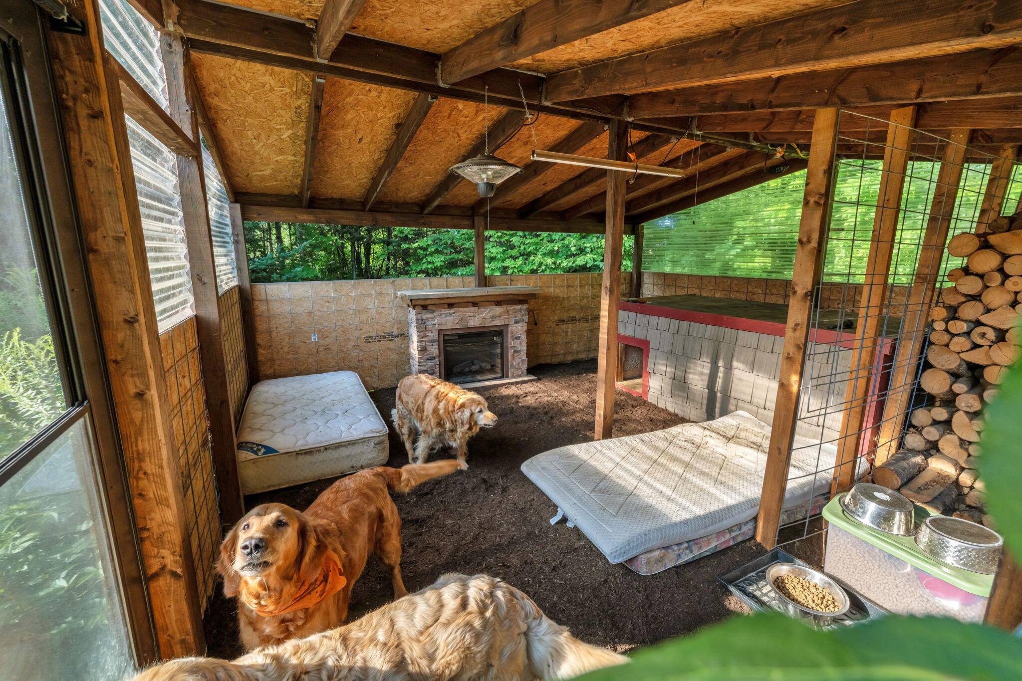 145 East Road Bradford, ME 04410 - Photo 60 of 107 Dog House