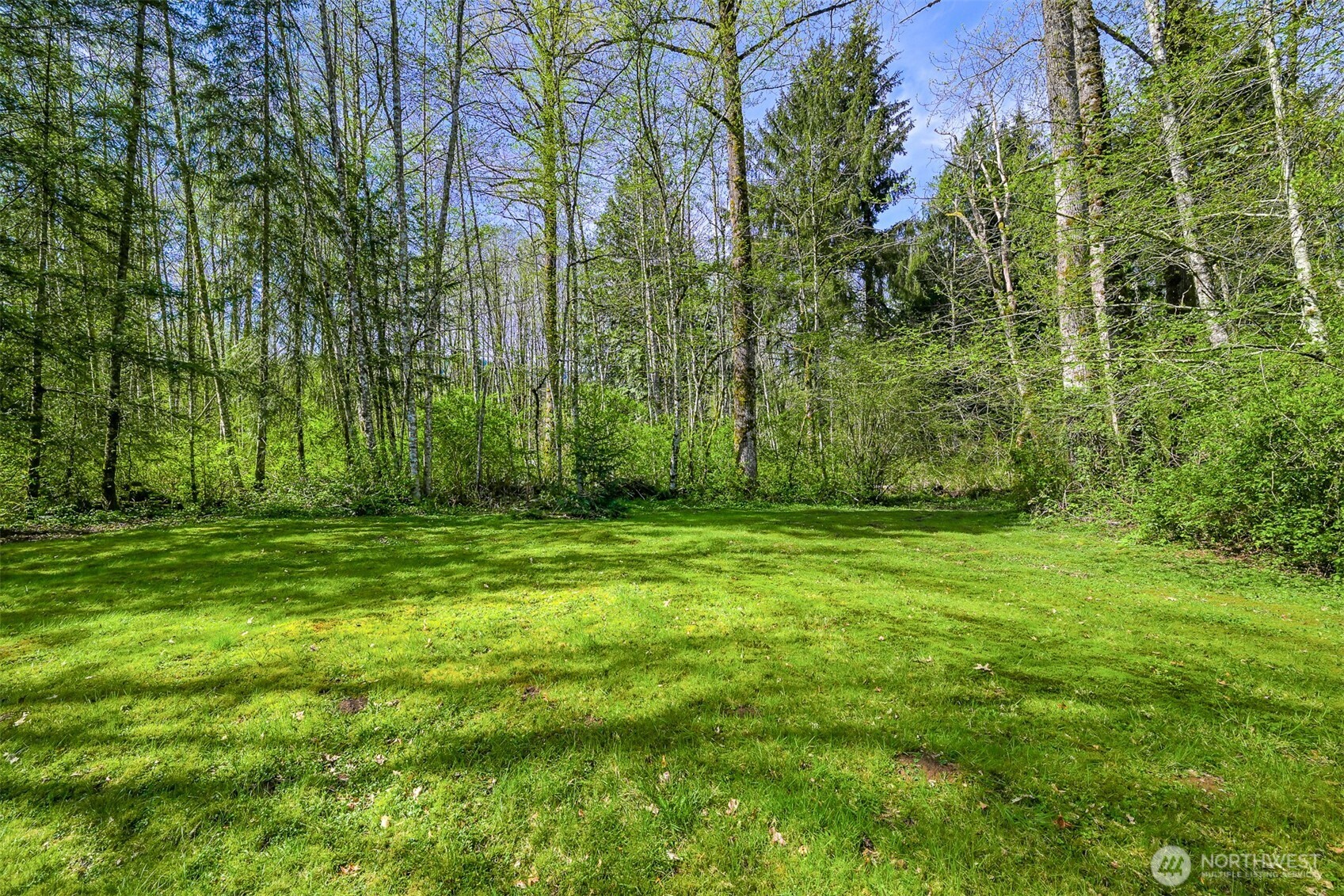 215 Shallow Shore Road Bellingham, WA 98229 - Photo 9 of 37