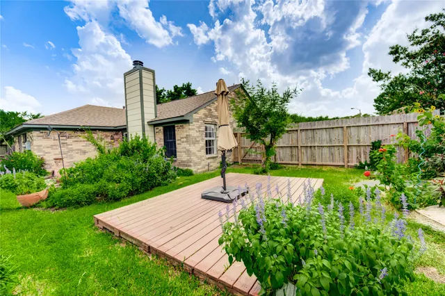 a view of a backyard with plants