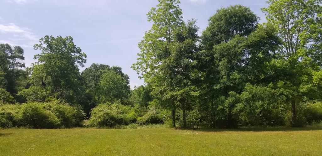 6.3-acres Skipper Road Dothan, AL 36301 - Photo 4 of 7