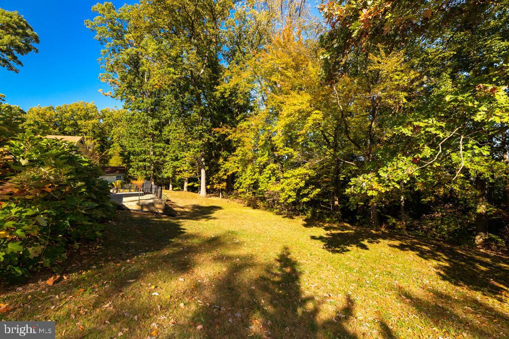 8113 Higham Road Lorton, VA 22079 - Photo 45 of 46 Backyard