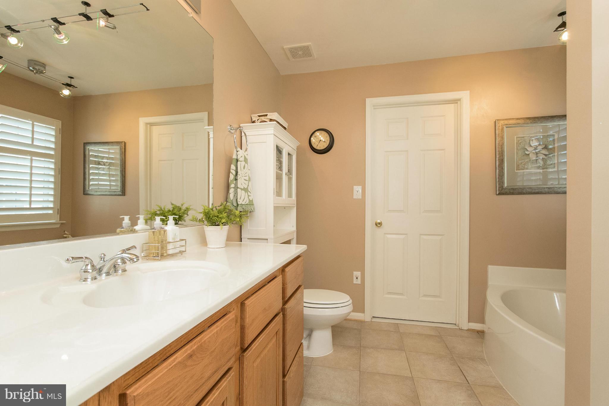 714 Blossom Tree Road Culpeper, VA 22701 - Photo 14 of 28 Bath (Master)