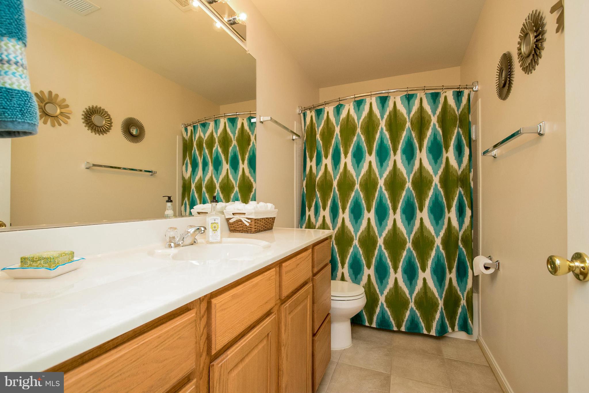 714 Blossom Tree Road Culpeper, VA 22701 - Photo 22 of 28 Bath