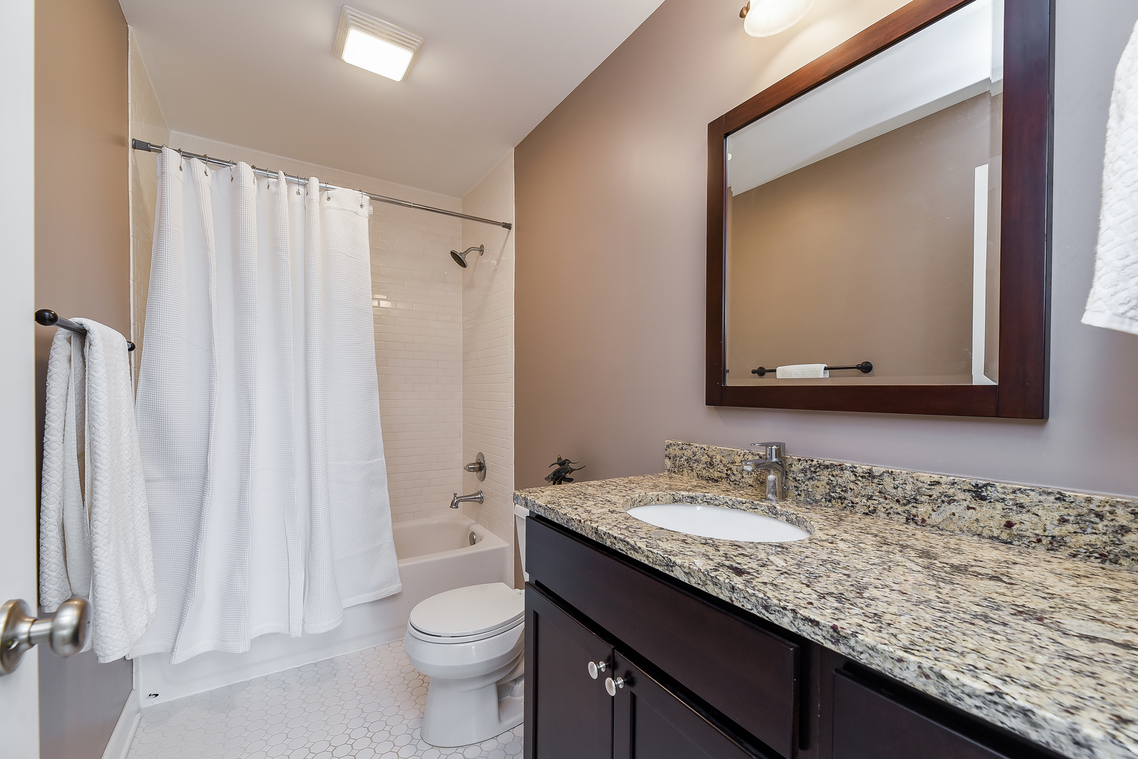 415 North President Street, Unit A Wheaton, IL 60187 - Photo 14 of 19