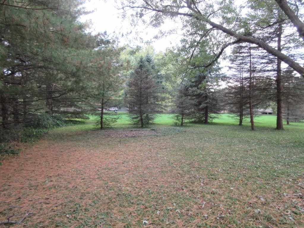 303 Marengo Road Harvard, IL 60033 - Photo 12 of 13 a view of a forest with trees