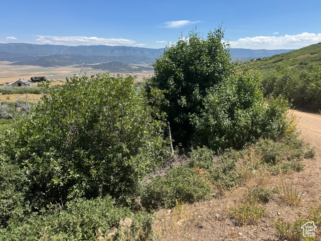 48 North Indian Ridge Drive East, Unit N4548 Fairview, UT 84629 - Photo 4 of 10